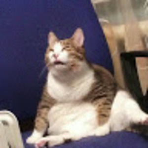 Meet your Posher, Aj